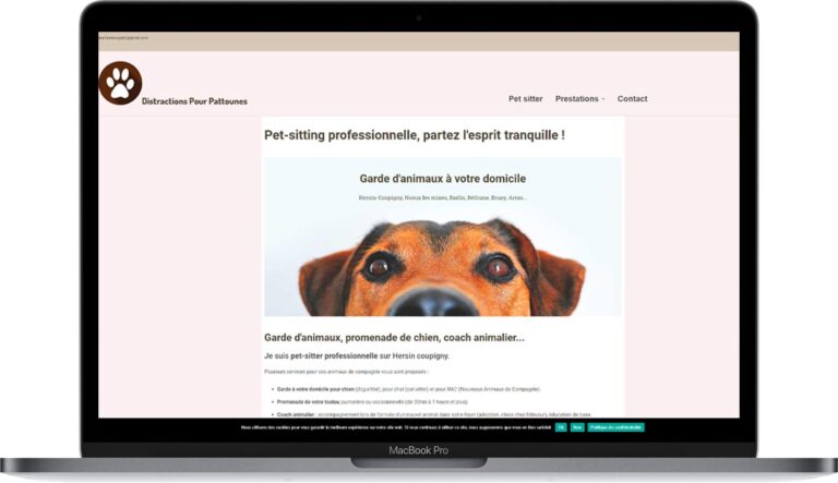 site web pour pet sitter barlin